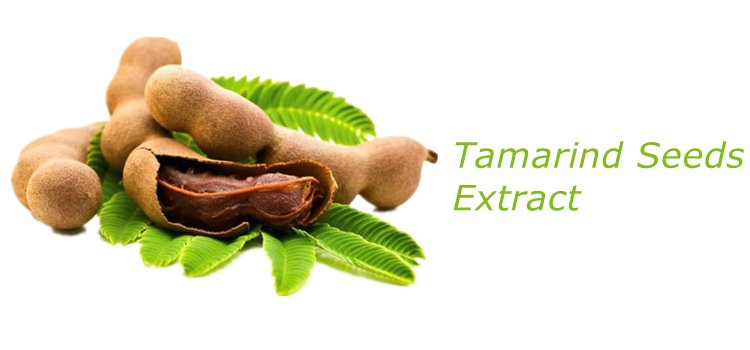 Tamarind Seed.png